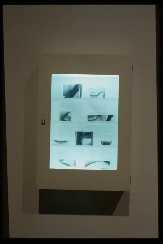 Lit up medicine cabinet with cropped photos of teeth and eyes. 